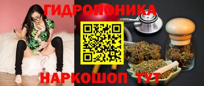 гидра Кинель