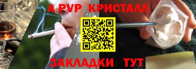 прущие грибы Кингисепп